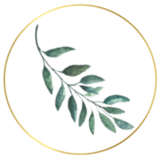 Dream Weddings and Florida Lifestyle Weddings logo