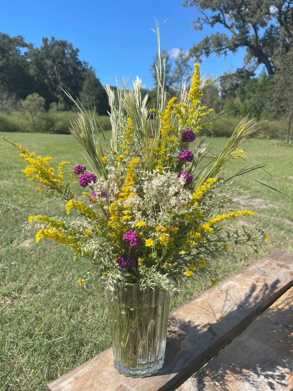 Goldenrod Meadows