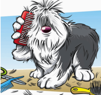 Clean Pooch Grooming LLC. logo