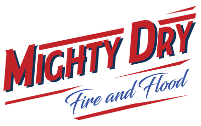 Mighty Dry logo