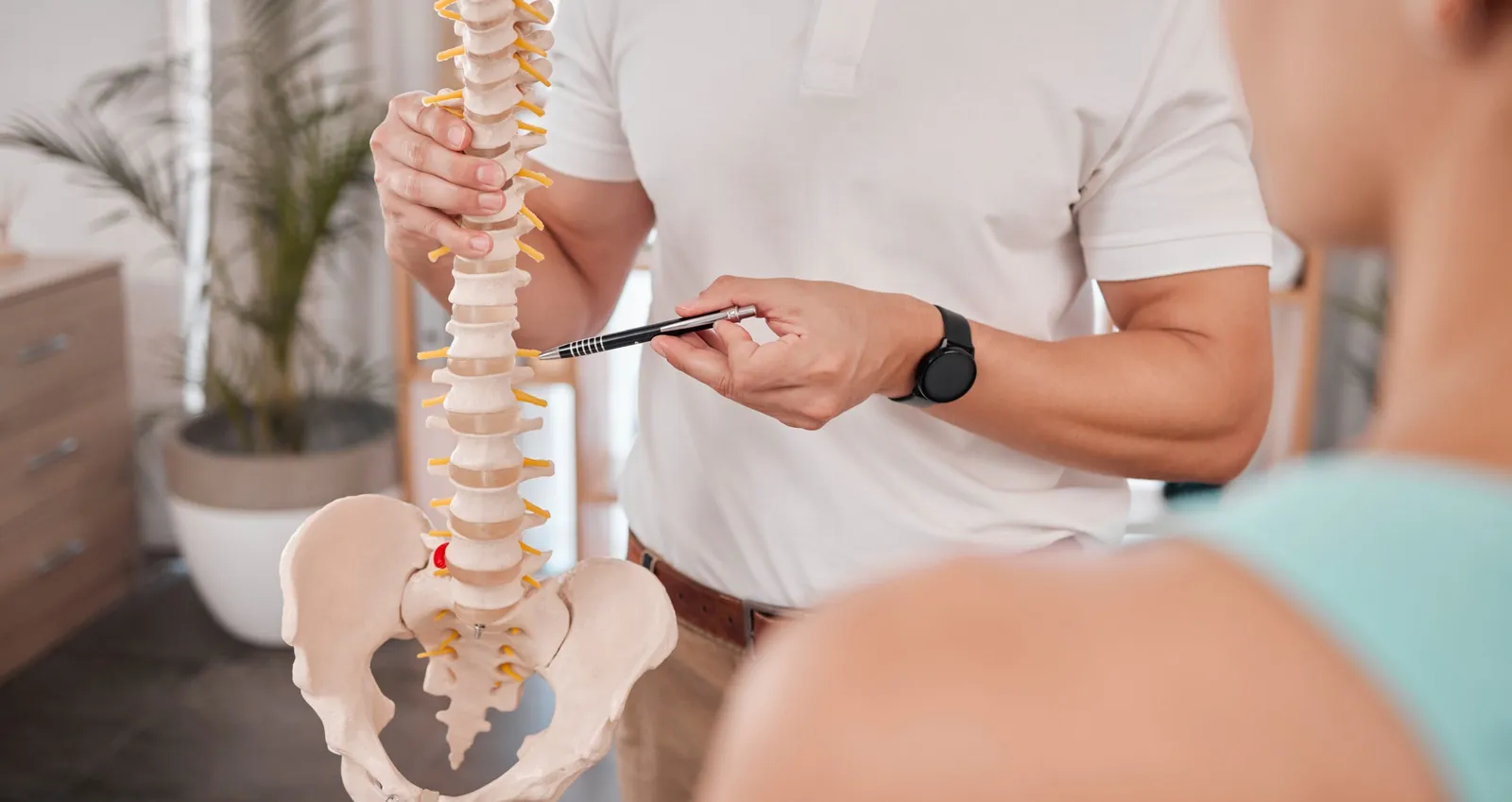 Symmetry Health Chiropractic & Wellness