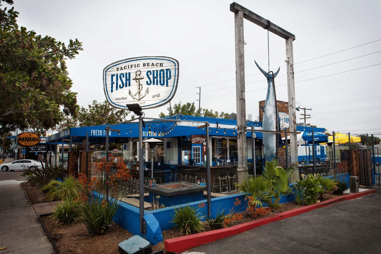 Fish Shop San Diego