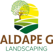 Aldape G Landscaping logo