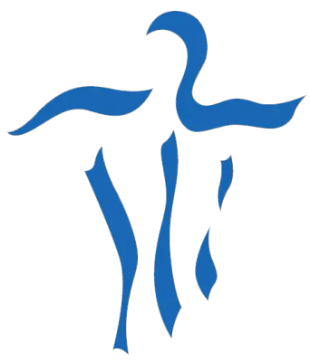 Care Chiropractic logo