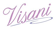 Visani Entertainment Inc logo