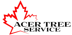 Acer Tree Service logo