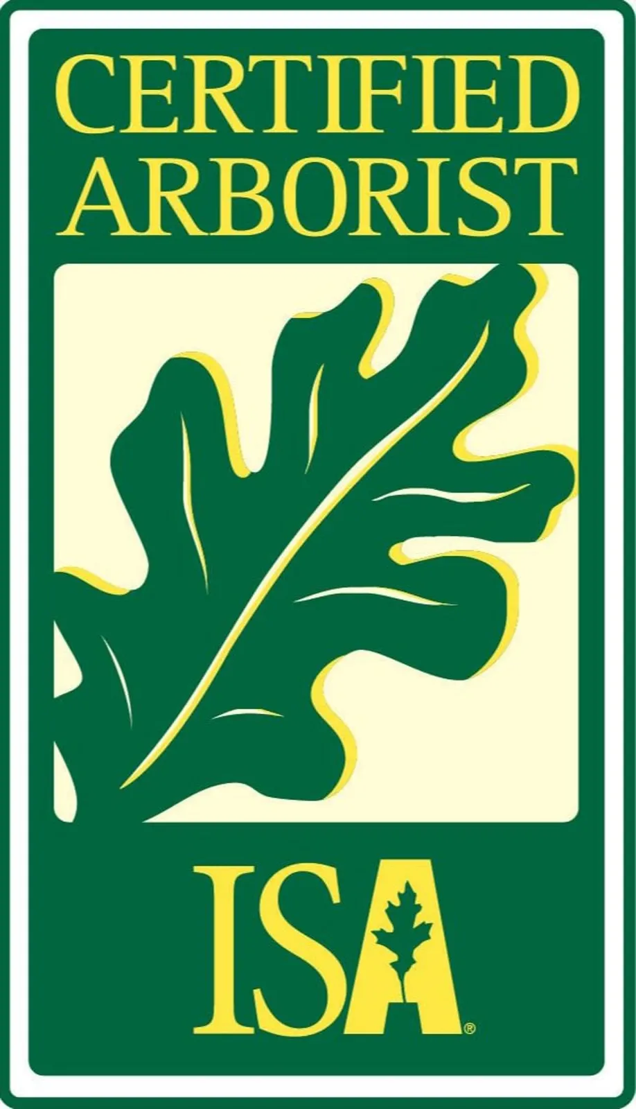 Acer Tree Service
