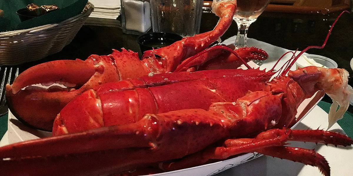 Ogunquit Lobster Pound