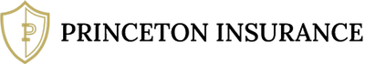 Princeton Insurance logo