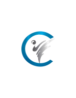 Central Martial Arts logo