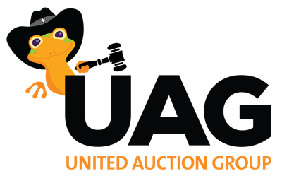 United Auction Group logo