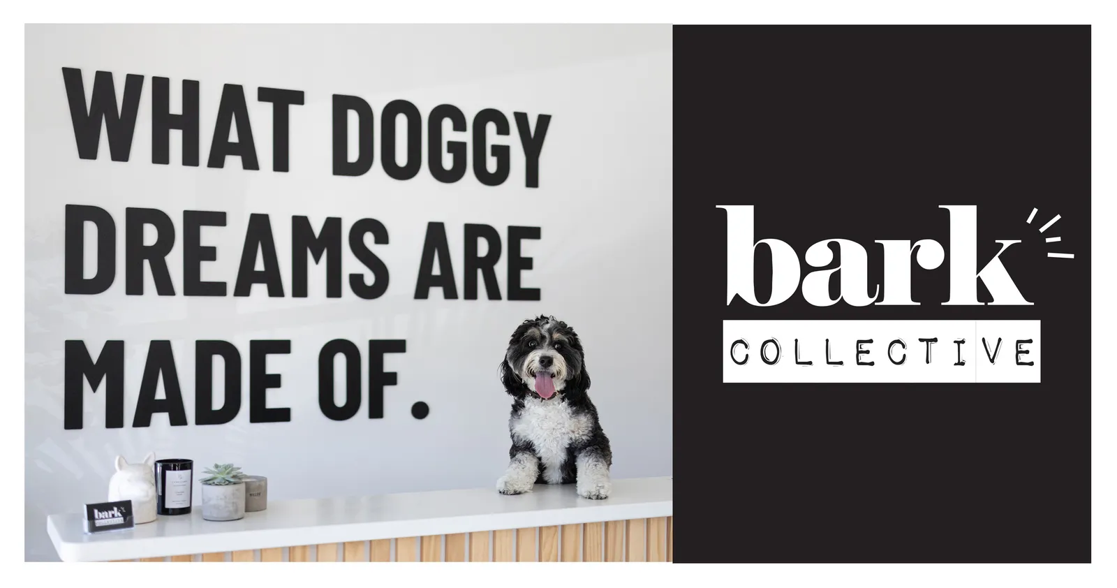 Bark Collective