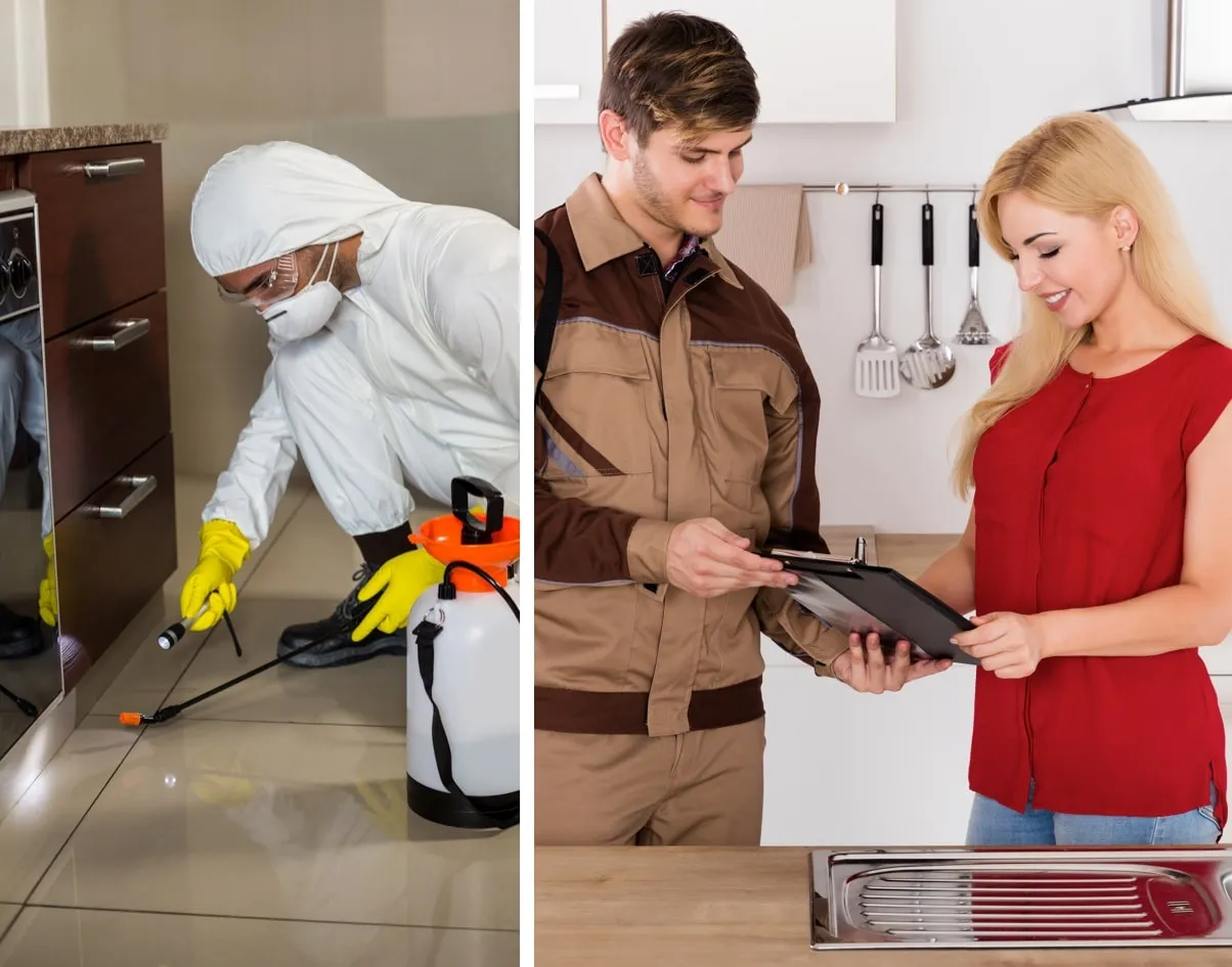 Ace Bedbug Exterminating NYC