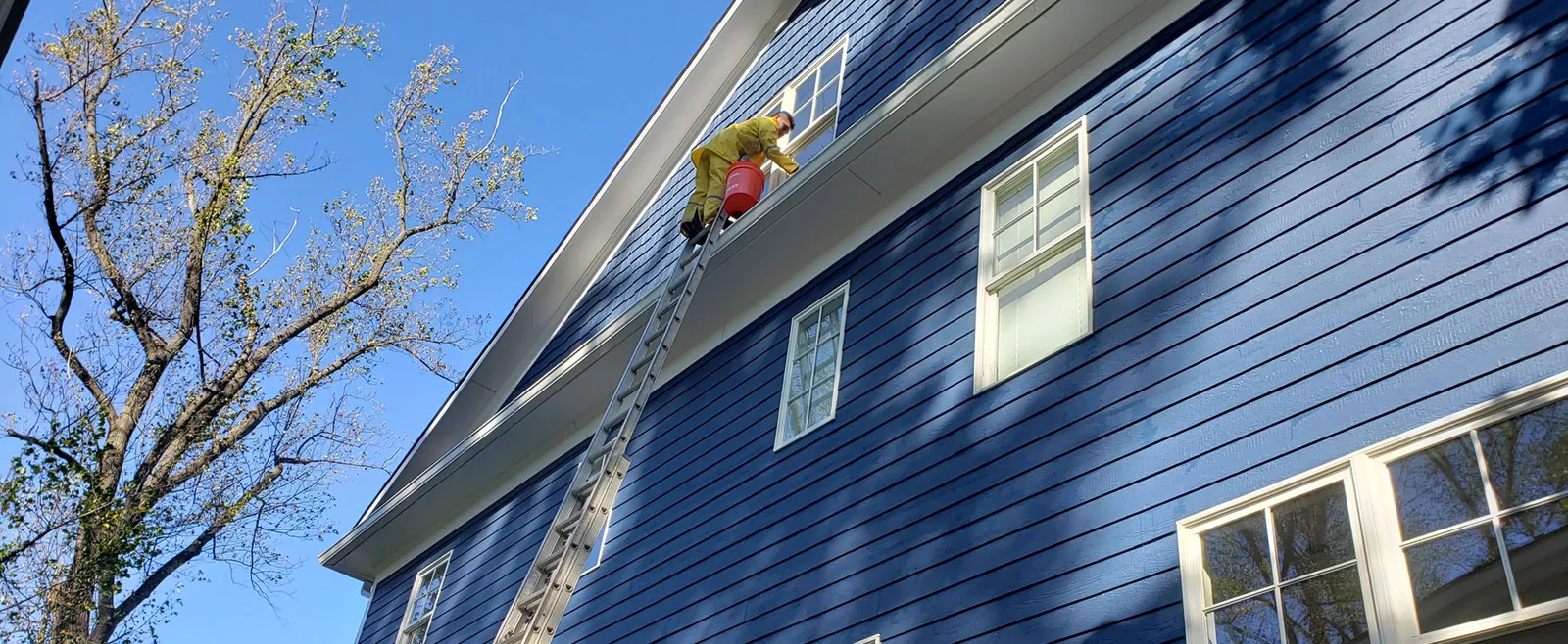 Rose Power Washing Potomac Village