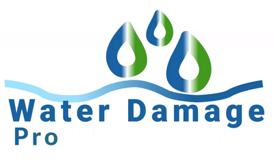 Water Damage Pro logo