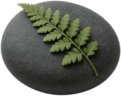 Botanicals Day Spa logo
