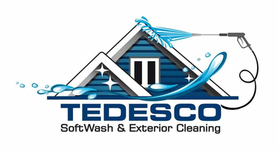 Tedesco Power Washing logo