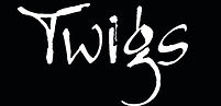 Twigs Floral Design Studio logo
